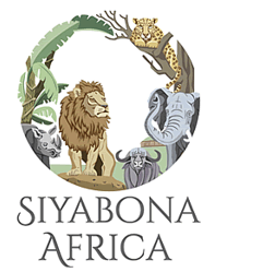 http://londolozi.krugerpark.co.za