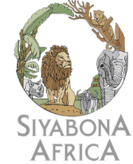 http://londolozi.krugerpark.co.za