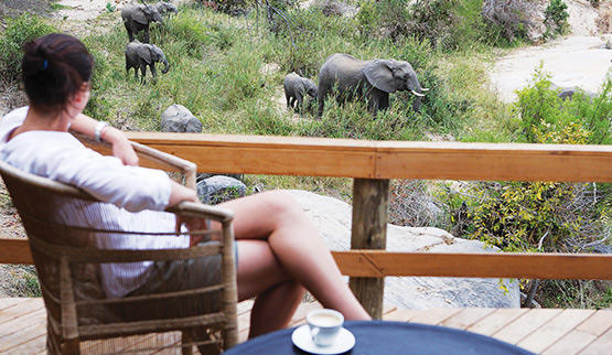See elephants from the deck of Londolozi Founders Camp.