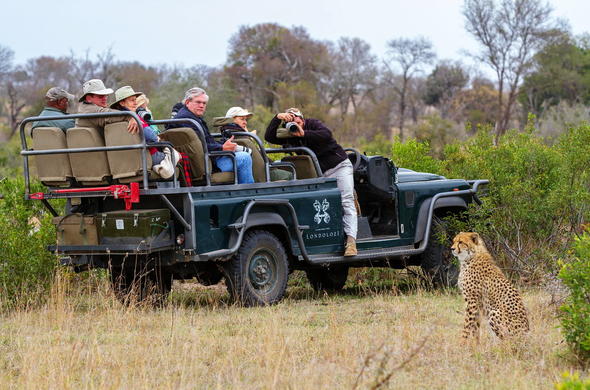 Images of Londolozi Varty Camp