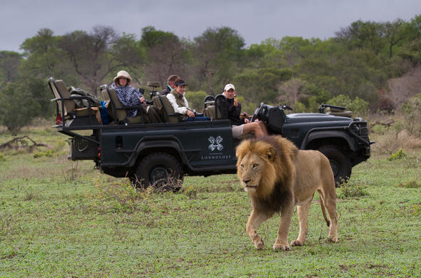 Images of Londolozi Varty Camp